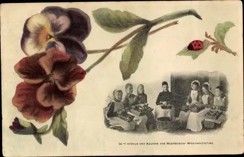 Ak Niederlande, In 't hoekje der keuken van Neerbosch Weesinrichting, Marienkäfer