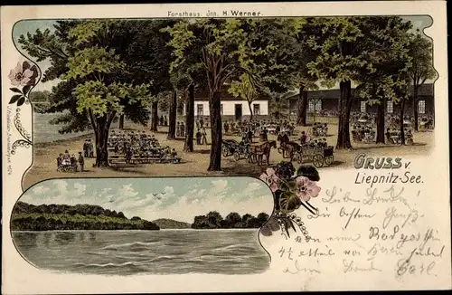 Litho Wandlitz in der Mark, Forsthaus, Liepnitzsee