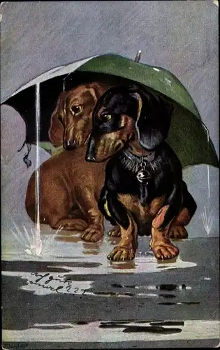 Künstler Ak Zwei Dackel unter einem Regenschirm