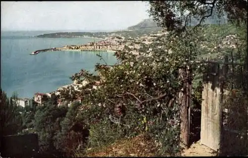 Ak Menton Alpes Maritimes, Ort mit Cap Martin, schöne Aussicht