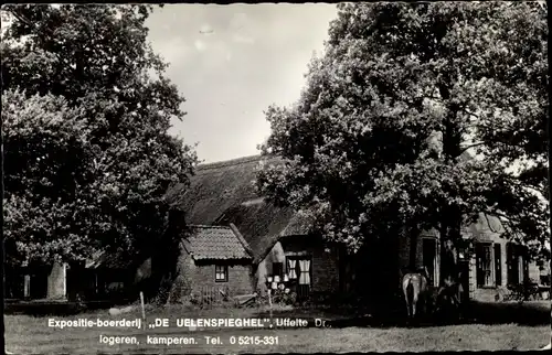 Ak Uffelte Drenthe Niederlande, Expositie-boerderij De Uelenspieghel, Pony