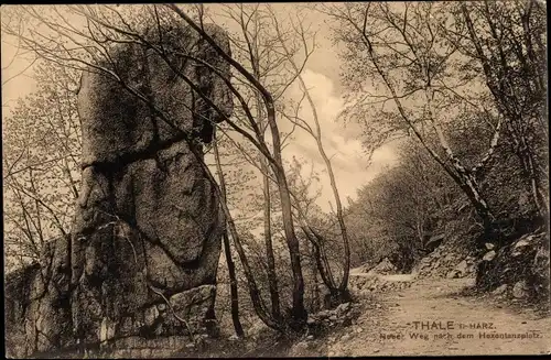 Ak Thale im Harz, Hoher Weg nach dem Hexentanzplatz, Felsen