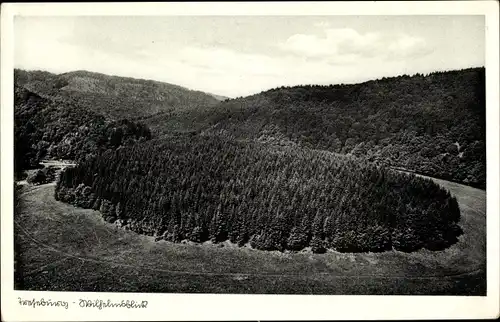 Ak Treseburg Thale im Harz, Wilhelmsblick