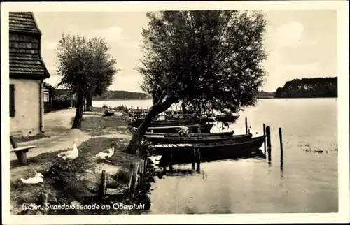 Ak Lychen, Strandpromenade am Oberpfuhl, Gänse, Ruderboote