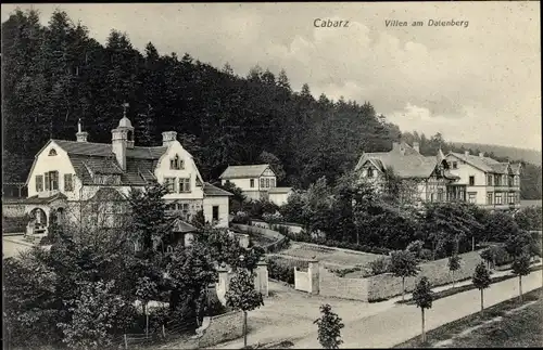 Ak Tabarz im Thüringer Wald, Villen am Datenberg