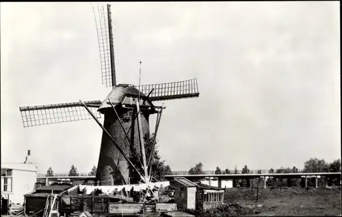 Ak Maassluis Südholland, Molen, Windmühle