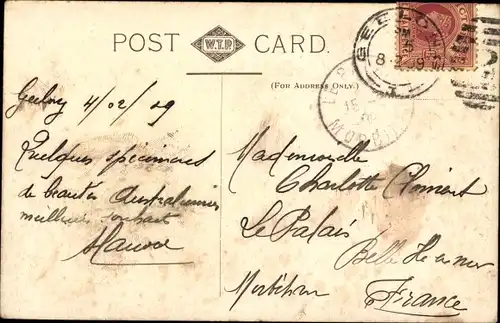 Buchstaben Ak Geelong Victoria Australien, Frauen-Portraits