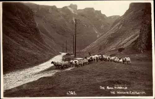 Ak Castleton Derbyshire England, The Road, Schafe am Fluss