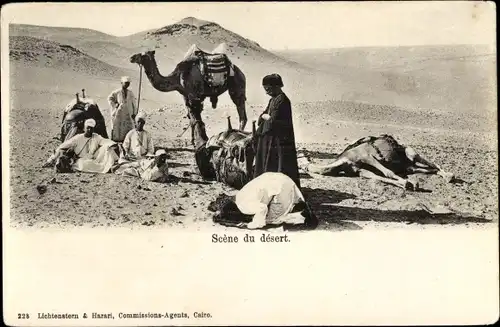 Ak Scene du desert, Ägypter, Kamele, Gebet