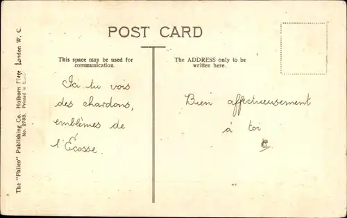 Passepartout Ak Rinder im Wasser, Distel, Where blackbirds join the...