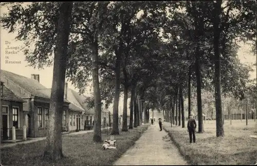 Ak Renesse Schouwen-Duiveland Zeeland, De Lange Reeke