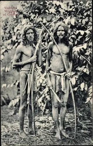 Ak Sri Lanka Ceylon, Veddahs Wildmen, Männer mit Pfeil und Bogen