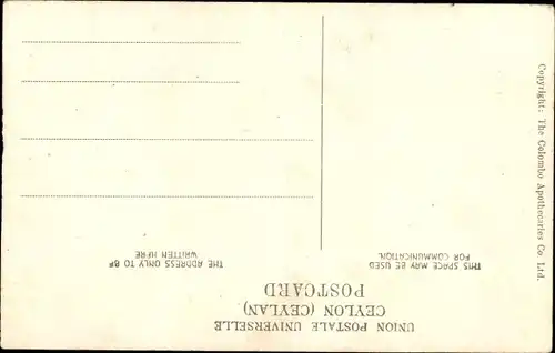 Ak Sri Lanka Ceylon, Veddahs Wildmen, Männer mit Pfeil und Bogen