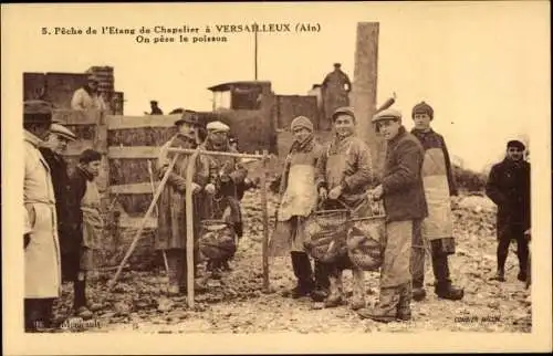 Ak Versailleux Ain, Peche de l'Etang de Chapelier, on pese le poisson