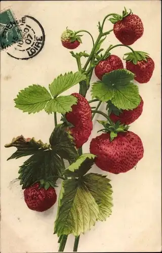 Ak Erdbeeren, Früchtestillleben