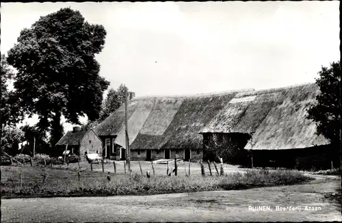 Ak Ruinen Drenthe Niederlande, Boerderij Ansen