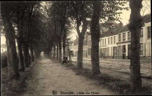 Ak Diksmuide Dixmude Westflandern, Den Lindenlaan, Allée des Tilleuls