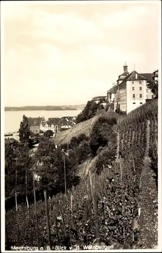 Ak Meersburg am Bodensee, Blick von den Weinbergen