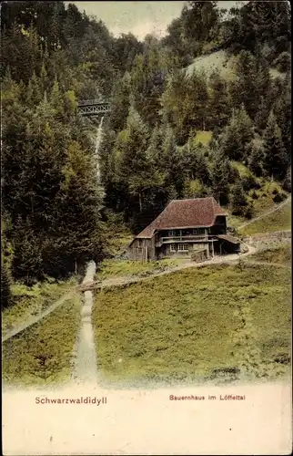 Ak Hinterzarten im Schwarzwald, Schwarzwaldidylle mit Bauernhaus im Löffeltal