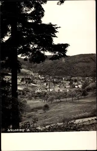 Foto Ak Waldkirch im Breisgau Schwarzwald, Blick auf den Ort