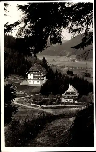 Ak Titisee Neustadt im Breisgau Hochschwarzwald, Pension Haus Sonnhalde