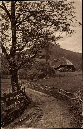 Ak Gutach im Breisgau Schwarzwald, Schwarzwaldidyll