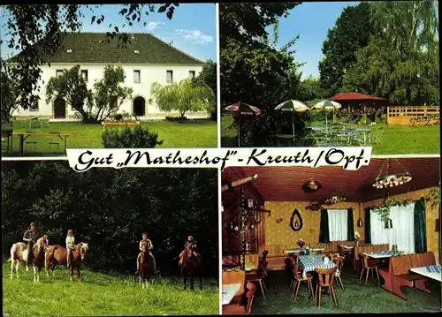 Ak Kreuth Rieden Oberpfalz, Gut Matheshof, Pferde, Speiseraum, Garten