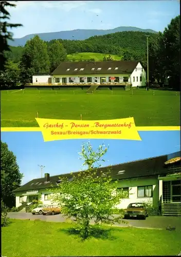 Ak Sexau im Schwarzwald, Gasthof-Pension Bergmattenhof, Panorama