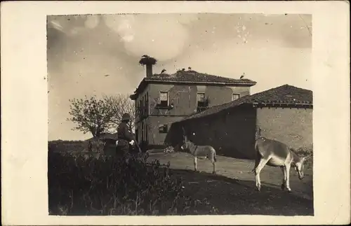 Foto Ak Bitola Monastir Mazedonien, Esel auf der Straße, Haus mit Storchennest