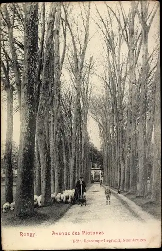 Ak Rongy Pas de Calais, Avenue des Plantages