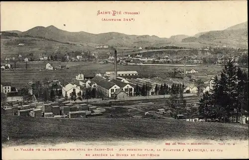 Ak Saint Dié Lothringen Vosges, Totalansicht der Ortschaft