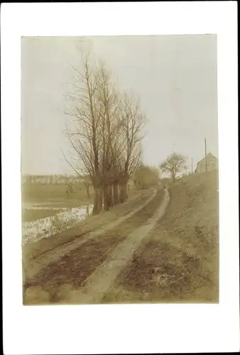 Foto Hamburg Mitte Finkenwerder, Landschaft, Wegpartie