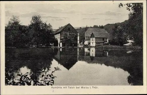 Ak Weida in Thüringen, Aumühle mit Teich