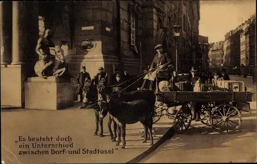 Ak Dresden, Fuhrwerk Donath's Obstkelterei Lockwitzgrund, Unterschied Dorfesel und Stadtesel