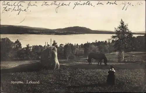 Ak Leksand Schweden, Styrsjöbo, Feld am Wasser, Heugarbe, weidendes Pferd