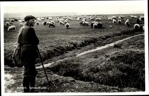 Ak Ruinen Drenthe Niederlande, Schaapskudde, Het Drentse Heideschaap, Schäfer