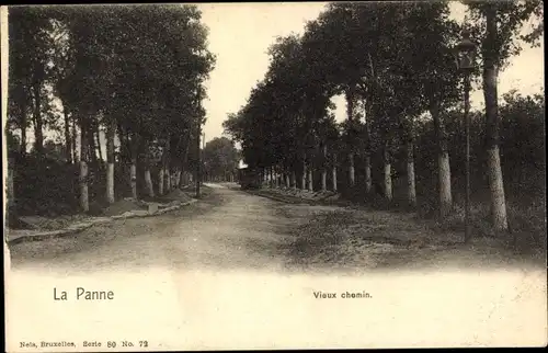 Ak La Panne De Panne Westflandern, Vieux chemin