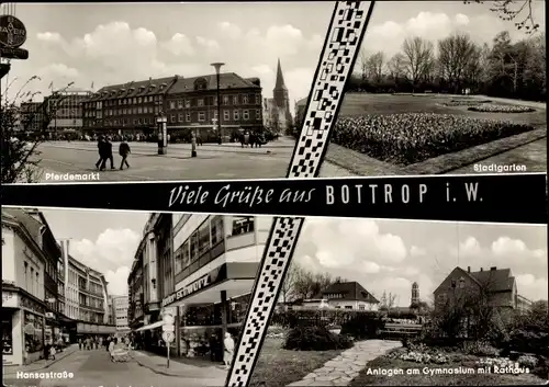 Ak Bottrop im Ruhrgebiet, Hansastraße, Stadtgarten, Pferdemarkt, Stadtgarten, Anlagen