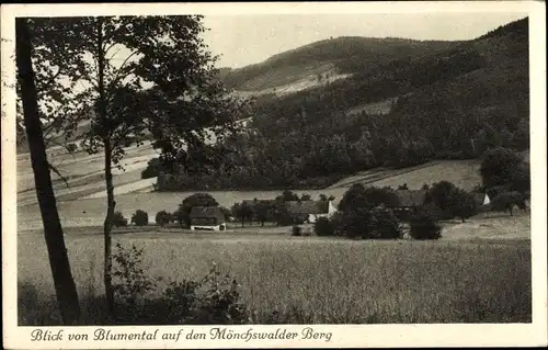 Ak Wilthen in der Oberlausitz, Blick vom Blumental auf den Mönchswalder Berg