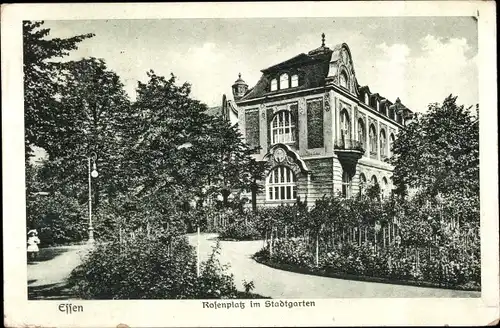 Ak Essen im Ruhrgebiet, Rosenplatz im Stadtgarten