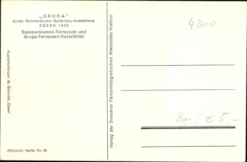 Ak Essen im Ruhrgebiet, GRUGA 1929, Sommerblumen Terrassen und Gruga-Terrassen-Gaststätten