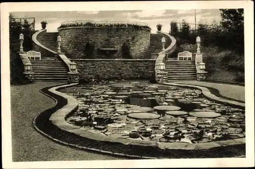 Ak Essen im Ruhrgebiet, GRUGA 1929, Staudenlichtung, Victoria-Regia-Becken, Treppen