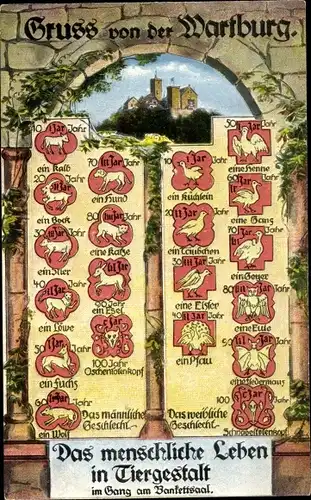 Ak Lutherstadt Eisenach in Thüringen, Wartburg, Das menschliche Leben in Tiergestalt