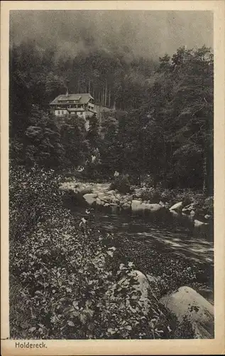 Ak Forbach im Schwarzwald, Holdereck, Haus im Wald