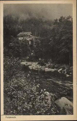 Ak Forbach im Schwarzwald, Holdereck, Haus im Wald