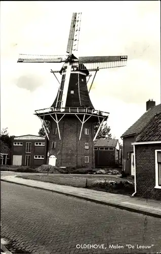 Ak Oldehove Groningen, Molen De Leeuw