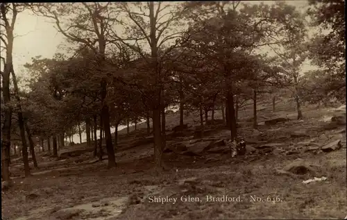 Ak Bradford on Avon Wiltshire South West, Shipley Glen