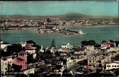 Ak Palma de Mallorca Balearische Inseln, Panorama, Kathedrale