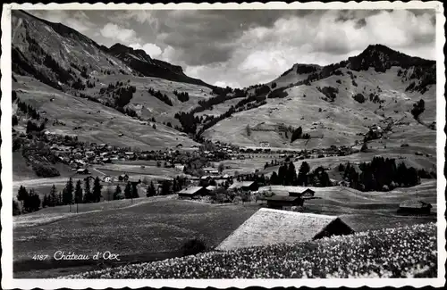 Ak Château d'Œx Oex Kanton Waadt, Panorama