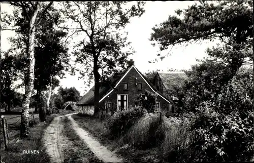 Ak Ruinen Drenthe Niederlande, Feldweg, Haus